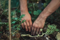 3 tips om je tuin een strakke en moderne uitstraling te geven