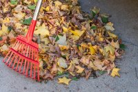 Deze fouten maak je bij het herfstklaar maken van je tuin