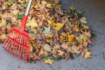 Deze fouten maak je bij het herfstklaar maken van je tuin