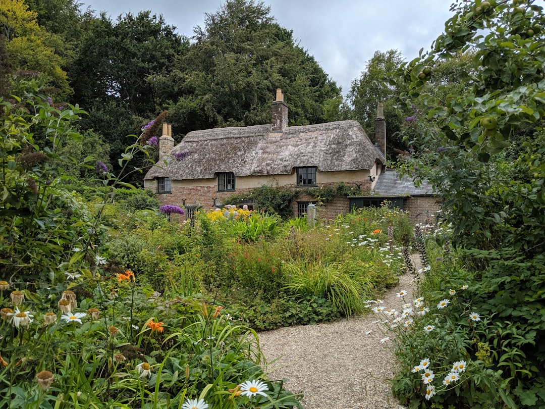De cottage tuin is terug en mooier dan ooit